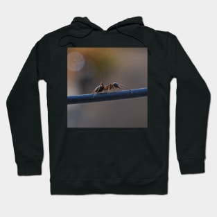 macro ants Hoodie